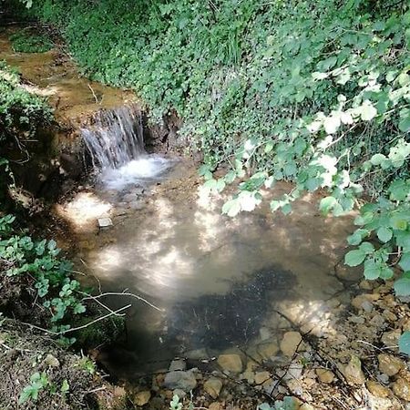 Domaine Moulin De Quincenat Apartment Champagnat  Екстериор снимка
