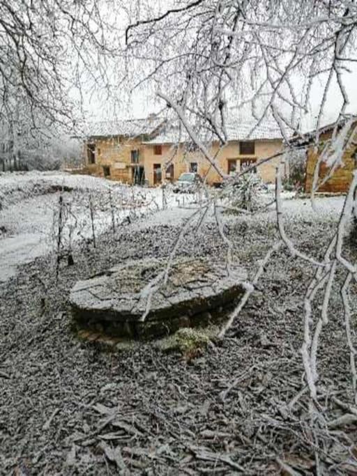Domaine Moulin De Quincenat Apartment Champagnat  Екстериор снимка