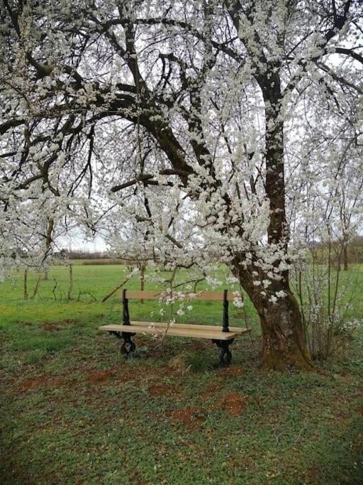 Domaine Moulin De Quincenat Apartment Champagnat  Екстериор снимка