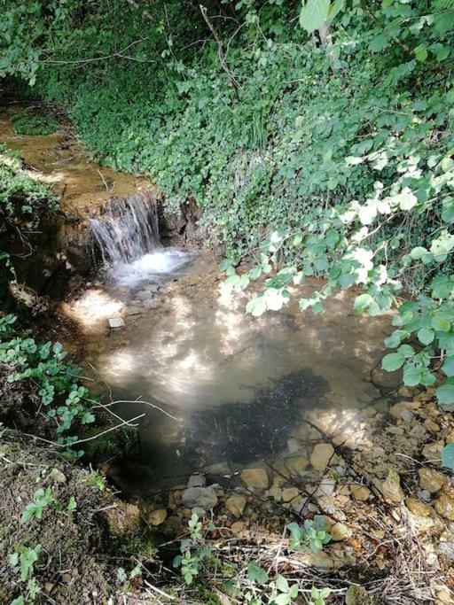 Domaine Moulin De Quincenat Apartment Champagnat  Екстериор снимка