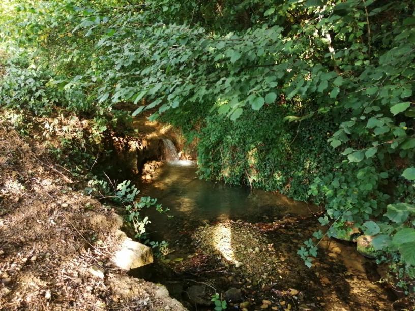 Domaine Moulin De Quincenat Apartment Champagnat  Екстериор снимка